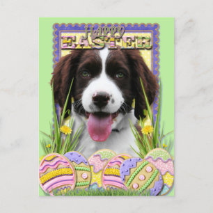 Cartes Pour Fêtes Annuelles Cookies d'oeufs de Pâques - Anglais Springer Spani