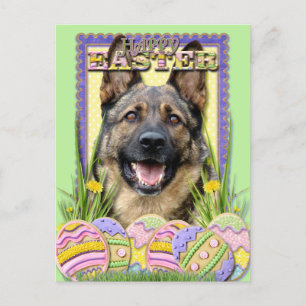 Cartes Pour Fêtes Annuelles Cookies d'oeufs de Pâques - berger allemand