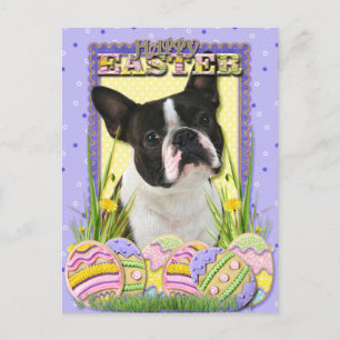 Cartes Pour Fêtes Annuelles Cookies d'oeufs de Pâques - Boston Terrier