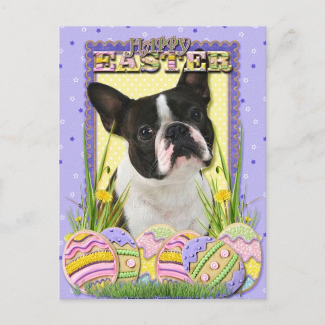 Cartes Pour Fêtes Annuelles Cookies d'oeufs de Pâques - Boston Terrier (Devant)