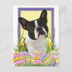 Cartes Pour Fêtes Annuelles Cookies d'oeufs de Pâques - Boston Terrier