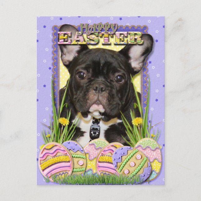 Cartes Pour Fêtes Annuelles Cookies d'oeufs de Pâques - Chien de taureaux fran (Devant)