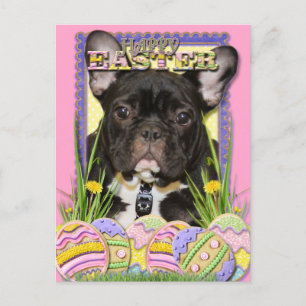 Cartes Pour Fêtes Annuelles Cookies d'oeufs de Pâques - Chien de taureaux fran