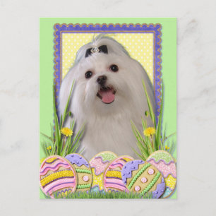 Cartes Pour Fêtes Annuelles Cookies d'oeufs de Pâques - Maltais