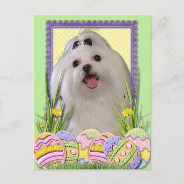 Cartes Pour Fêtes Annuelles Cookies d'oeufs de Pâques - Maltais (Devant)