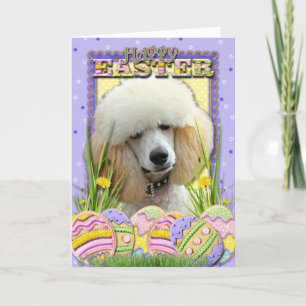 Cartes Pour Fêtes Annuelles Cookies d'oeufs de Pâques - Poodle - Apricot