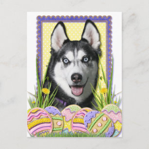 Cartes Pour Fêtes Annuelles Cookies d'oeufs de Pâques - Sibérie Husky