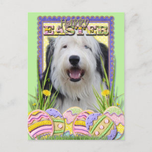 Cartes Pour Fêtes Annuelles Cookies d'oeufs de Pâques - Vieux chien anglais