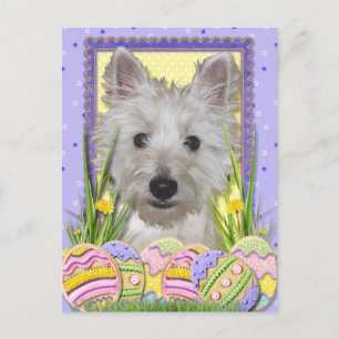 Cartes Pour Fêtes Annuelles Cookies d'oeufs de Pâques - West Highland Terrier 