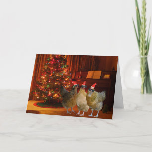 Cartes Pour Fêtes Annuelles Cool Xmas Chickens