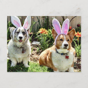 Cartes Pour Fêtes Annuelles Corgis de Pâques
