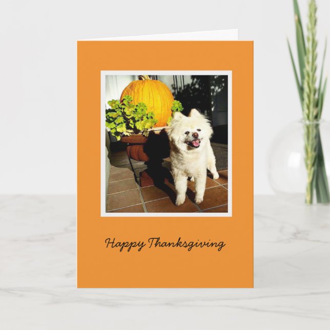 Cartes Pour Fêtes Annuelles Cosmo l'action de grâce des chiots (Devant)