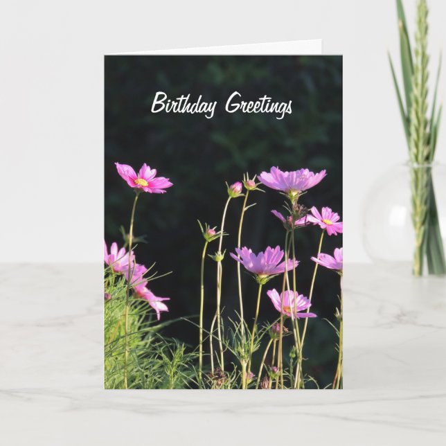 Cartes Pour Fêtes Annuelles Cosmos rose dans le soleil du matin (Devant)
