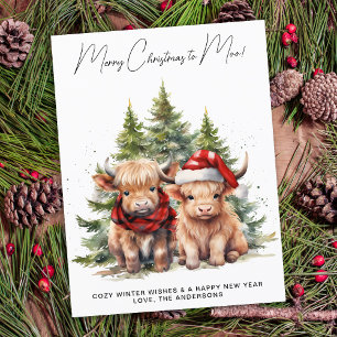 Cartes Pour Fêtes Annuelles Cosy Highland Cow Farm Animaux Joyeux Noël