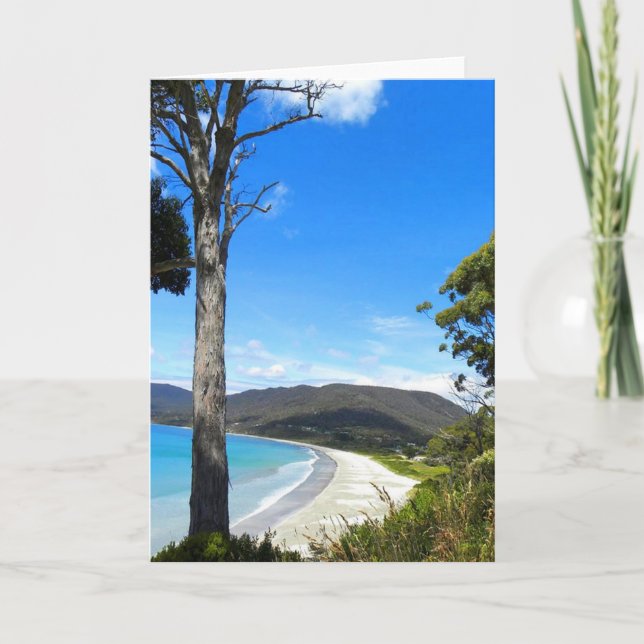 Cartes Pour Fêtes Annuelles Côte de Tasmanie (Devant)