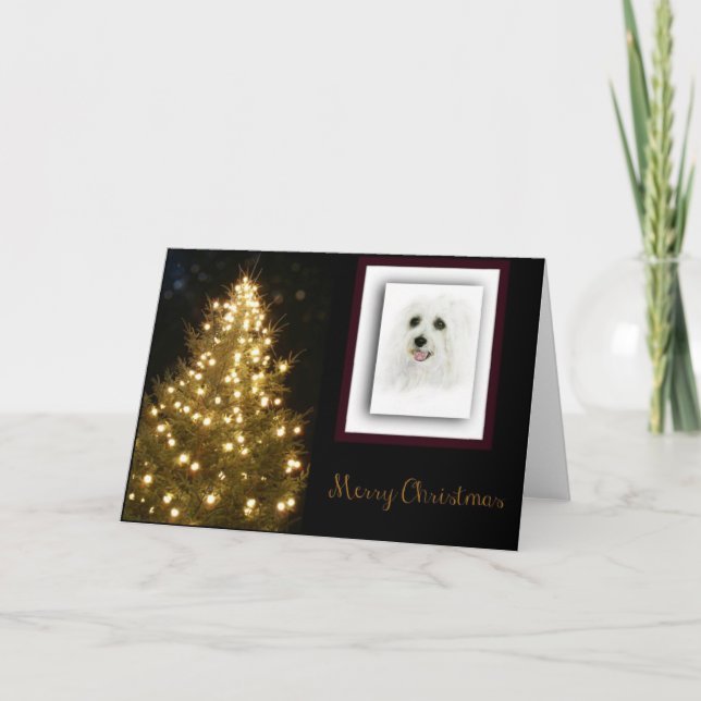 Cartes Pour Fêtes Annuelles Coton DeTulear (Devant)