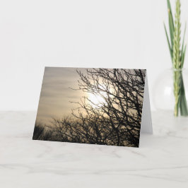 Cartes Pour Fêtes Annuelles Coucher du soleil à Dighty Burn