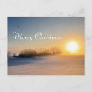 Cartes Pour Fêtes Annuelles Coucher du soleil le jour de Noël dans la campagne