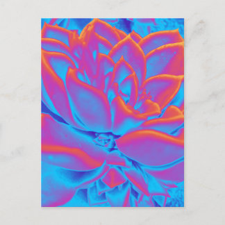 Cartes Pour Fêtes Annuelles Couleur arc-en-ciel plante Succulent