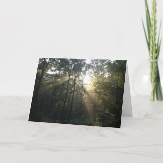 Cartes Pour Fêtes Annuelles Coup de soleil dans les arbres Toutes les occasion