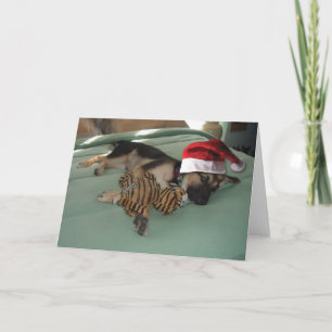 Cartes Pour Fêtes Annuelles Coupe berger allemande avec chapeau de Père Noël