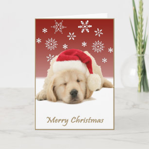 Cartes Pour Fêtes Annuelles Coupe de Noël