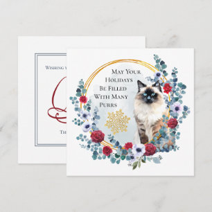 Cartes Pour Fêtes Annuelles Couronne de Noël avec belle chatte