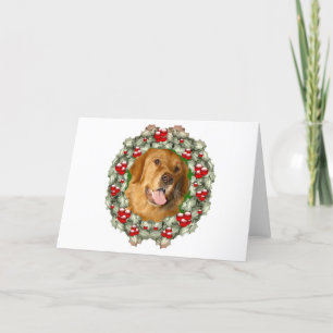 Cartes Pour Fêtes Annuelles Couronne de Noël Golden Retriever