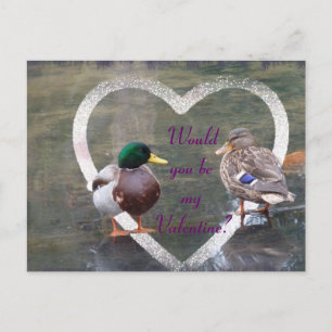 Cartes Pour Fêtes Annuelles Cours de Mallards