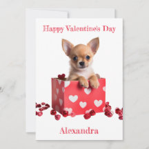 Coutume Chihuahua Pup Coeurs blancs sur boîte Vale