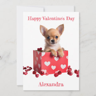 Cartes Pour Fêtes Annuelles Coutume Chihuahua Pup Coeurs blancs sur boîte Vale
