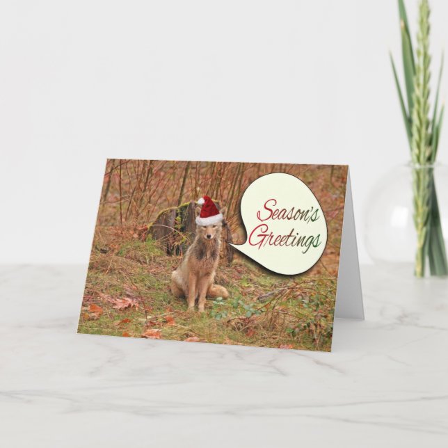 Cartes Pour Fêtes Annuelles Coyote de Noël (Devant)