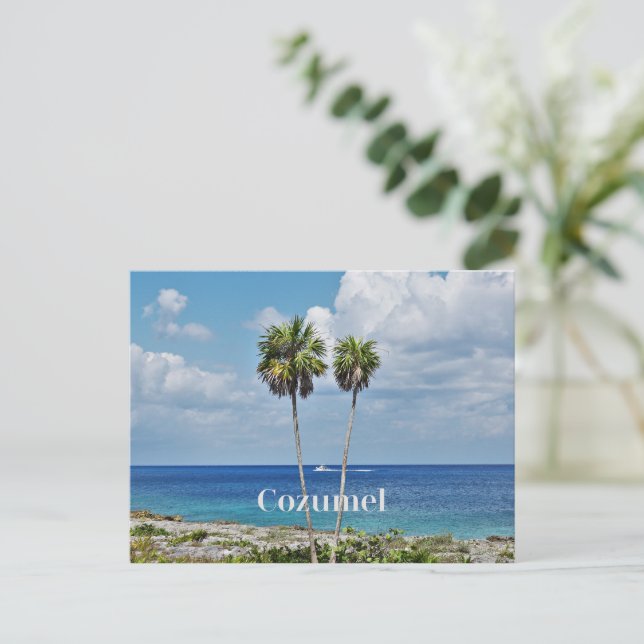 Cartes Pour Fêtes Annuelles Cozumel, île mexicaine, (Debout devant)