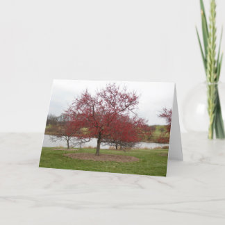 Cartes Pour Fêtes Annuelles Crabapple
