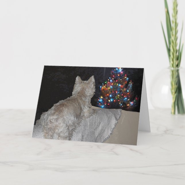 CARTES POUR FÊTES ANNUELLES CRAINTE DE NOËL DE WESTIE (Devant)