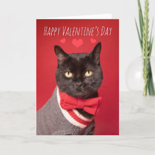 Cartes Pour Fêtes Annuelles Cravate Heureuse Sainte-Valentin de chabot noir