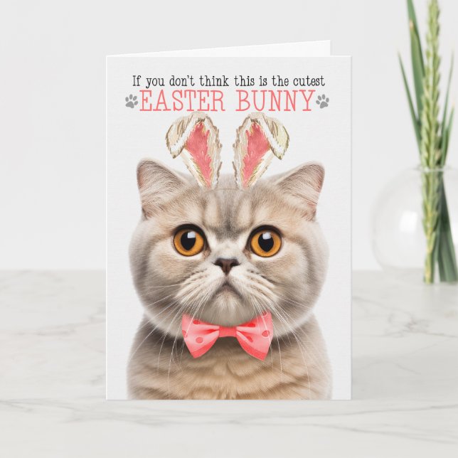 Cartes Pour Fêtes Annuelles Cream Scottish Fold Cutest Pâques Bunny Kitty Puns (Devant)