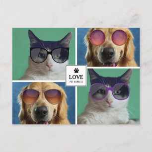 Cartes Pour Fêtes Annuelles Créez votre propre collage de 4 photos d'animaux d