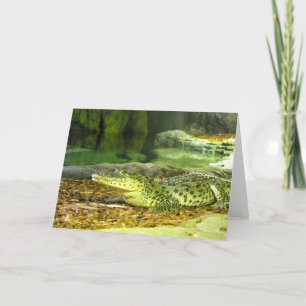 Cartes Pour Fêtes Annuelles crocodile cubain