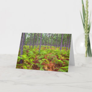 Cartes Pour Fêtes Annuelles Croissance de la peau commune (Pteridium Aquilinum