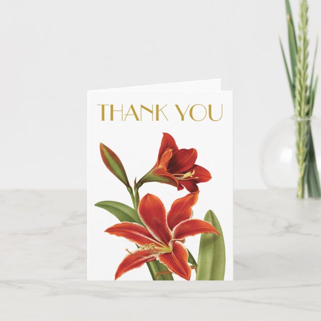 Cartes Pour Fêtes Annuelles Cru rouge de fleur de Noël d'amaryllis botanique (Devant)