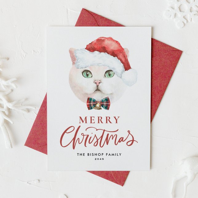 Cartes Pour Fêtes Annuelles Cuisine blanche britannique Shorthair Cat Père Noë (Créateur téléchargé)