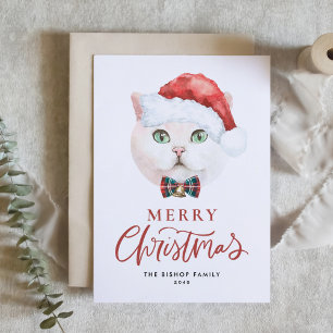 Cartes Pour Fêtes Annuelles Cuisine blanche britannique Shorthair Chat Joyeux 