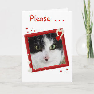 Cartes Pour Fêtes Annuelles Cuisine Kitty Valentine