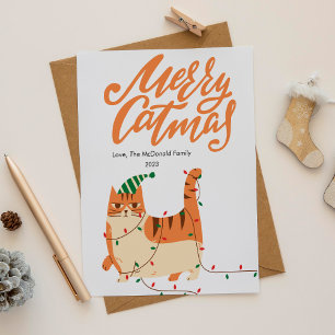 Cartes Pour Fêtes Annuelles Cuisine Orange Chat Pet Adulte Noël Appartement
