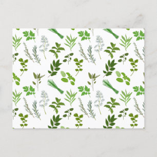 Cartes Pour Fêtes Annuelles Cuisine verte Herbes de jardin culinaires