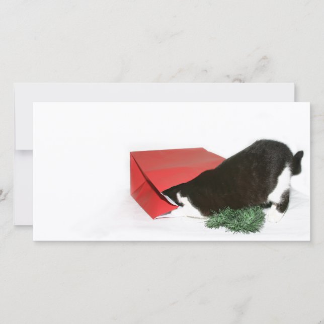 Cartes Pour Fêtes Annuelles Curieux chat de Noël (Devant)