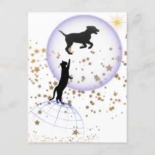 Cartes Pour Fêtes Annuelles Curieux chat et chien courant