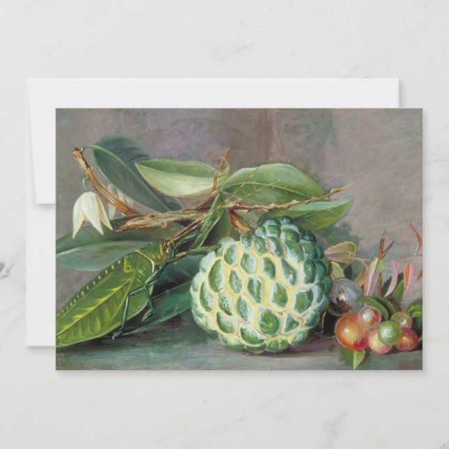 Cartes Pour Fêtes Annuelles Custard Apple - Marianne North (Devant)