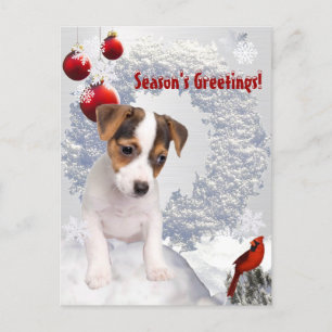 Cartes Pour Fêtes Annuelles Customisez-le !  Souhait de Noël de Jack Russell